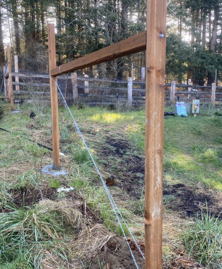 An H-brace built from treated 4x4 posts with double-strand slick brace wire tied off with strainer knots